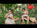 Download Lagu Minggu pagi angkat jaring , petik sayuran dan membuat sarapan pagi di hutan
