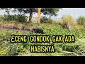 Download Lagu BABEH AMPE PUYENG❗ECENG GONDOK GILA BELUM HABIS JUGA❗#kdm 