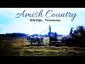Amish Country - Ethridge Tennessee
