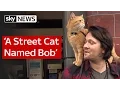 A Street Cat Named Bob