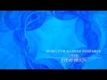 Steve Reich / Music for a Large Ensemble (1978)