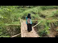 Download Lagu Inilah Kisah Perawan Desa Tanpa Bapa Berjuang Bertahan Hidup Di Tengah Sulitnya Ekonomi