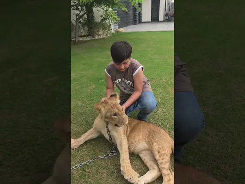 Little Kid Wants to Play With Lion | Nouman Hassan