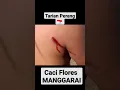 Download Lagu Tari Caci / Tarian Perang  Manggarai || Budaya Lokal Nusantara NTT 🇮🇩#shorts