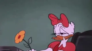 Lana Del Rey Summertime Sadness Slowed Reverb Lyrics 