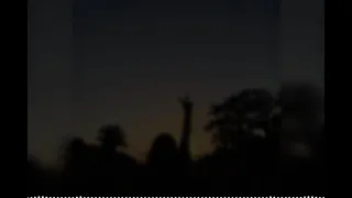 من يوم الله سوانا مسرعه محمد الشيخ اغاني حماسية 