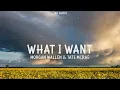 Morgan Wallen, Tate McRae - What I Want (8D Audio)