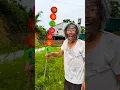 Download Lagu Little Brother Reveals His Funny Trick!😅🤣😱