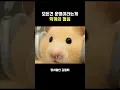 Download Lagu 점심 그거슨 운명