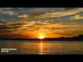 Download Lagu SERGIO MENDES - “Real Life”