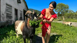 كل الوصفات اللذيذة في فيديو واحد شاهد بينما هو ساخن 