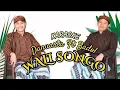 WALI SONGO - KARAOKE - DANUARTA Ft BADOL #tembangjowo #karaoke #cover #religi