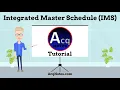 Integrated Master Schedule IMS Tutorial