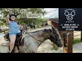 Disney World on Horseback Fun at Ft Wilderness and the tri Circle D ranch