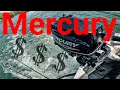 Cost of Mercury Outboard at Bass Pro Shop 2023 15 hp 9 9 hp 8 hp 6 hp 4 hp 3 5 hp 2 5 hp