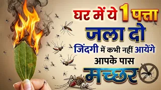 मच्छर काटना तो दूर आपके पास भी नहीं आ पाएंगे /मात्र 1 मिनिट में मच्छर भगाये | How to Kill Mosquitoes