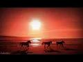 Download Lagu PARAI MARAPU# Lagu Parai Marapu Lirik#