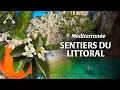Download Lagu Trip to Provence: Calanques of Marseille, Cap d’Antibes and Mediterranean trails
