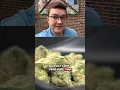 Marijuana company sued for owning too many dispensaries