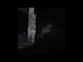 AMR DIAB - MAAK ALBY (SLOWED+REVERB)