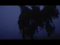 Rey&Kjavik - Dales (Official Video)