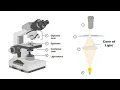 How to Align the Optical Light Path of a Leica DM2500 Microscope Kohler Illumination
