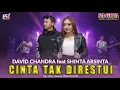 Shinta Arsinta & David Chandra - Cinta Tak Direstui (Audio)