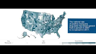 Quest Diagnostics Drug Testing Index