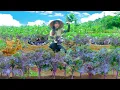 Download Lagu Harvest Purple Kale Goes To Market Sell, Care For Germinating Seeds, Vegetable Garden, And Livestock
