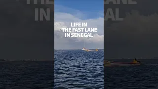 This “pirogue” is fast & furious #windedvoyage #africantravel #sailinglifestyle #senegal