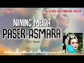 Lagu Nining Meida - Paser Asmara ( Official Audio )