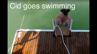 Cid goes swimming. Ant blows a fuse!