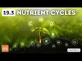 IGCSE Biology - Nutrient cycles topic 19 3