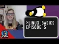 Let s Learn Linux Basics Episode 5 - Finishing Your First Script