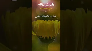 قال رسول الله ﷺ ينزل ربنا كل ليلة الى السماء الدنيا الراوي أبو هريرة المصدر صحيح البخاري 