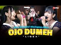 Lagu OJO DUMEH - LIGEA (Live Dangdut Lembayung Music ) | Kau khianatiku di belakangku