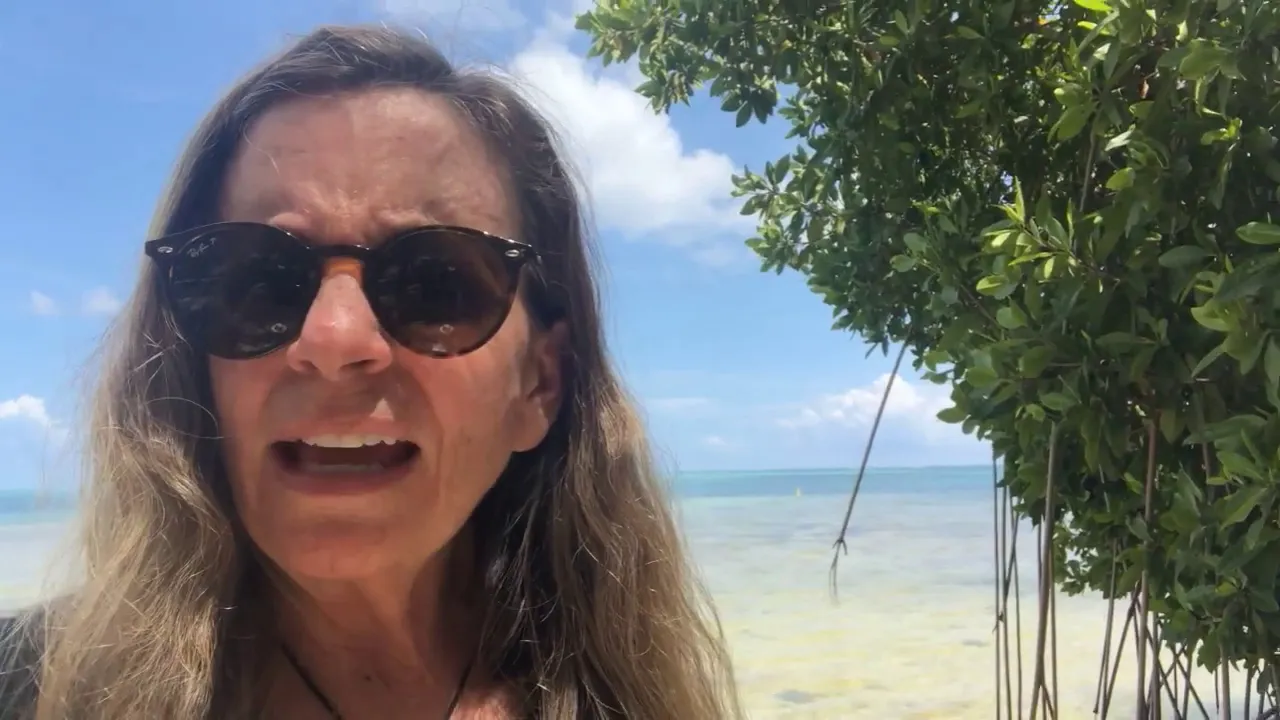 Why Mangroves Are Important