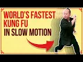Lagu 7 Star Praying Mantis Beng Bu Form Demo - TOO FAST? Watch Slow Mo