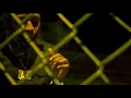 HBG Savage - Free Dem Membaz