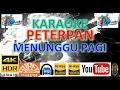 Lagu KARAOKE PETERPAN - 'Menunggu Pagi' M/V Lyrics UHD 4K Original ter_jernih