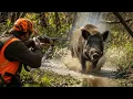 How a Wild Boar Hunt Turns Into a Battle for Survival as Hunter Fights Back | Wild Boar Hunting