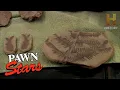 290 MILLION Year Old Spider Fossil in Vegas Season 3 Pawn Stars