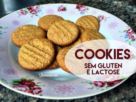 COOKIES COM RESÍDUO DO LEITE VEGETAL SEM GLÚTEN E LACTOSE