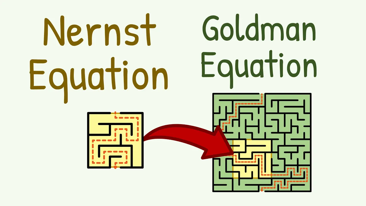 Nernst Equation and Goldman Equation STEP BY STEP