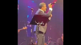 بالغرام وائل كفوري 