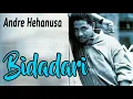 Download Lagu Bidadari - Andre Hehanusa