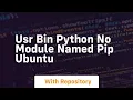 usr bin python no module named pip ubuntu