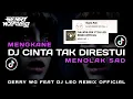 Lagu DJ CINTA TAK DIRESTUI VIRAL TIKTOK 2024