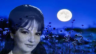 أصالحك بإيه شادية صوت عالي الجودة  أصالحك بإيه شادية صوت عالي الجودة