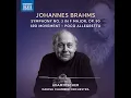 Symphony No. 3 in F Major, Op. 90: III. Poco allegretto - Ádám Fischer, Danish Chamber Orchestra & Johannes Brahms